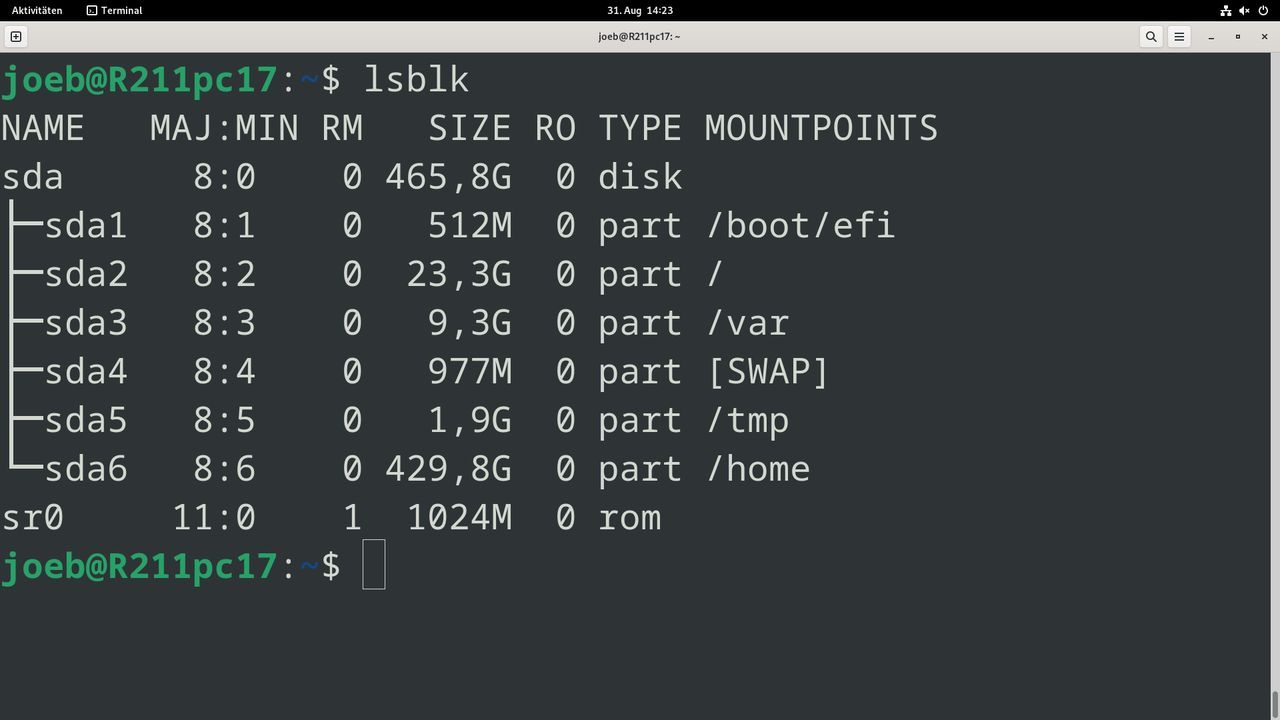 lsblk - Debian 12 Bookworm
